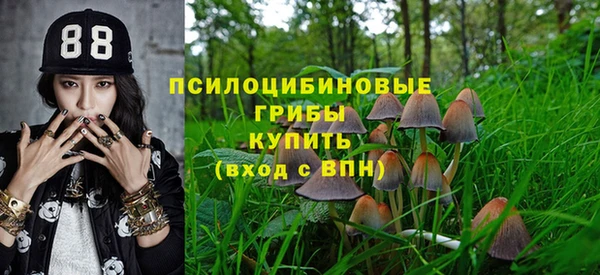 спайс Беломорск