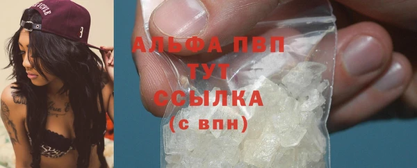 стафф Белокуриха