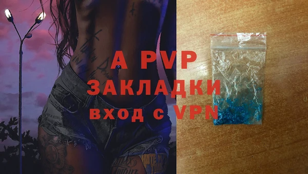 сатива Белоозёрский
