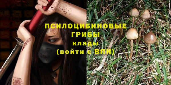 спайс Беломорск