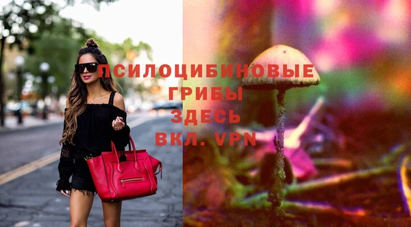 спайс Беломорск